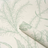 Schumacher Ocean Toile Eucalyptus On Linen Wallpaper