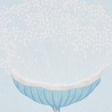 Schumacher Celinda Sky Wallpaper