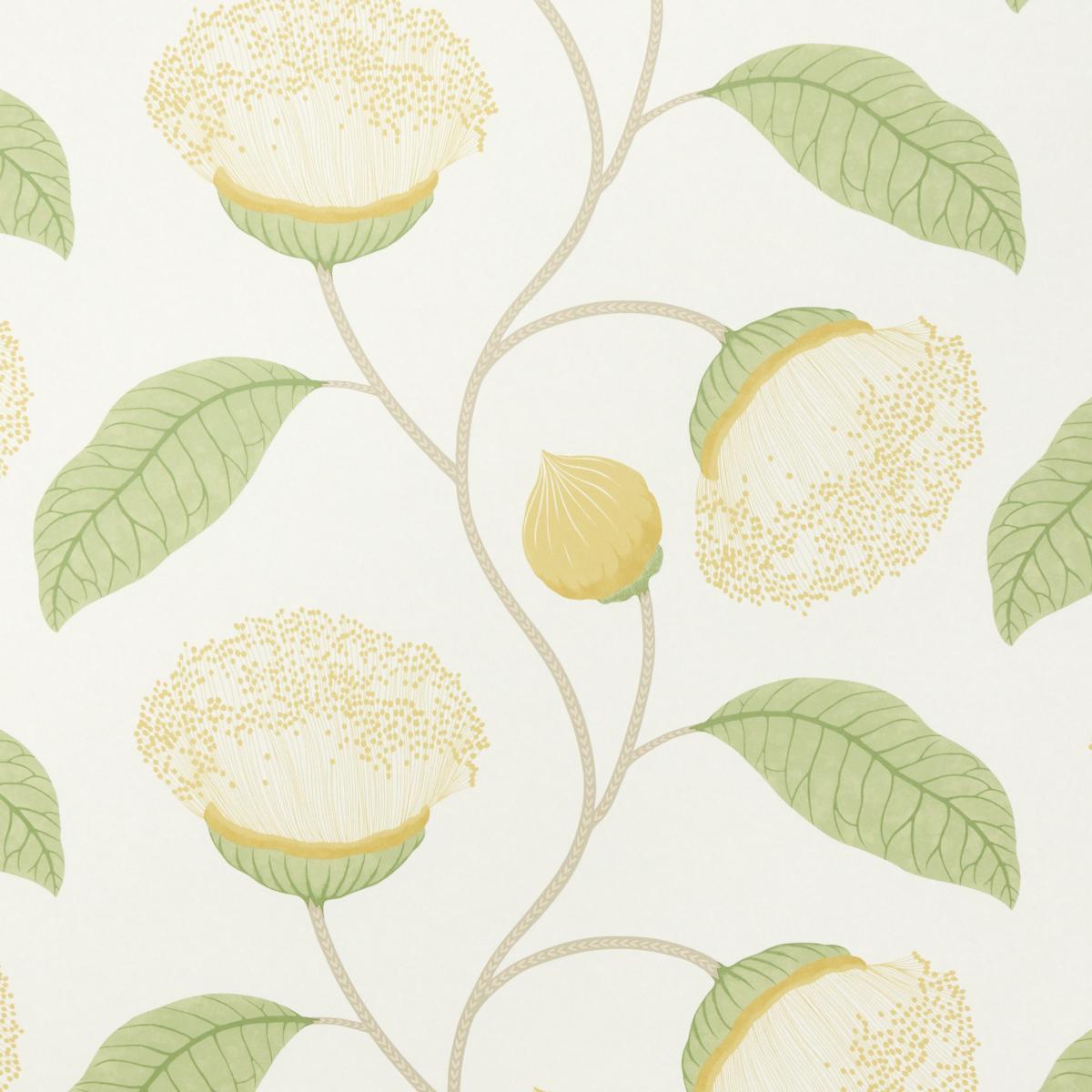 Schumacher Celinda Citrus Wallpaper