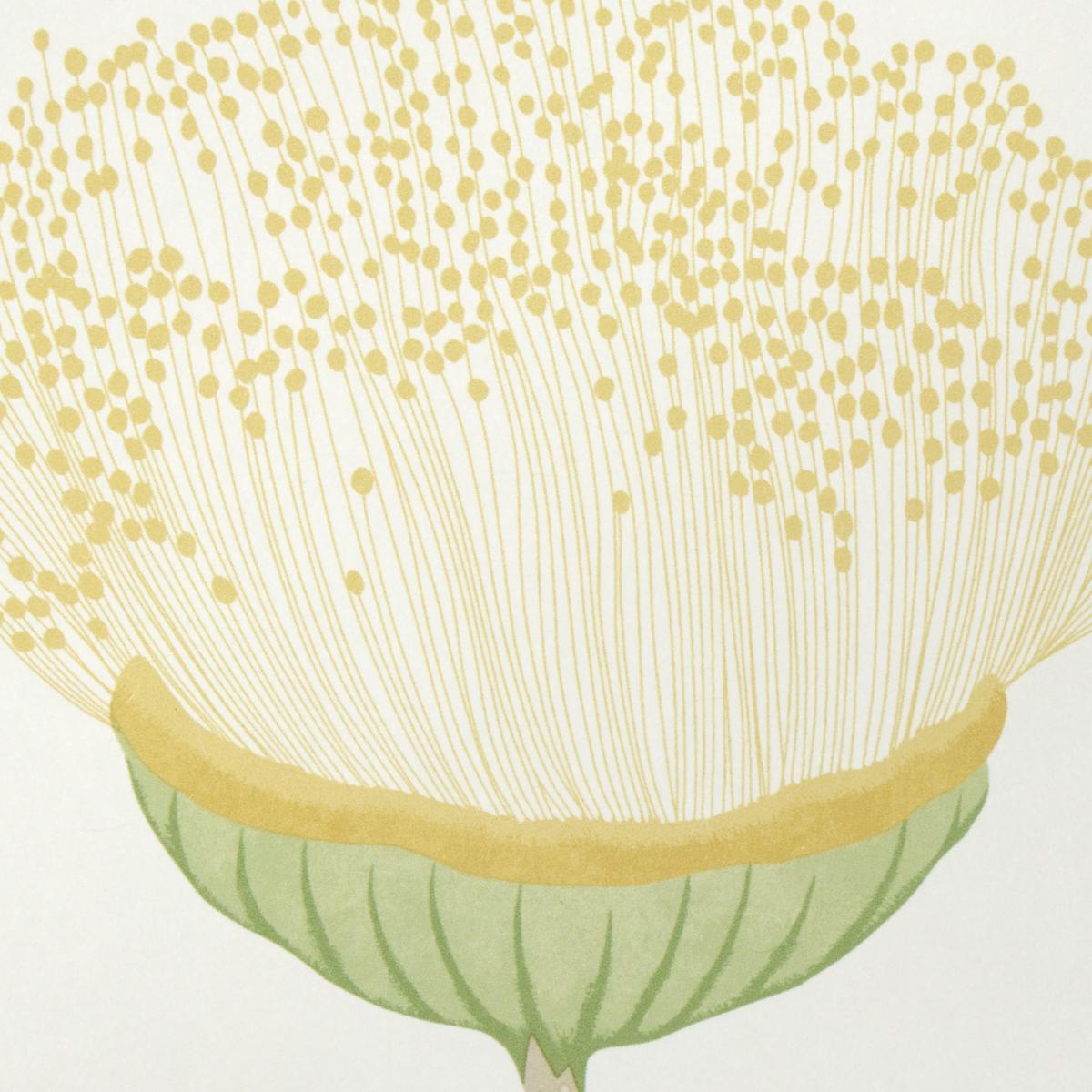 Schumacher Celinda Citrus Wallpaper