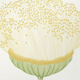 Schumacher Celinda Citrus Wallpaper