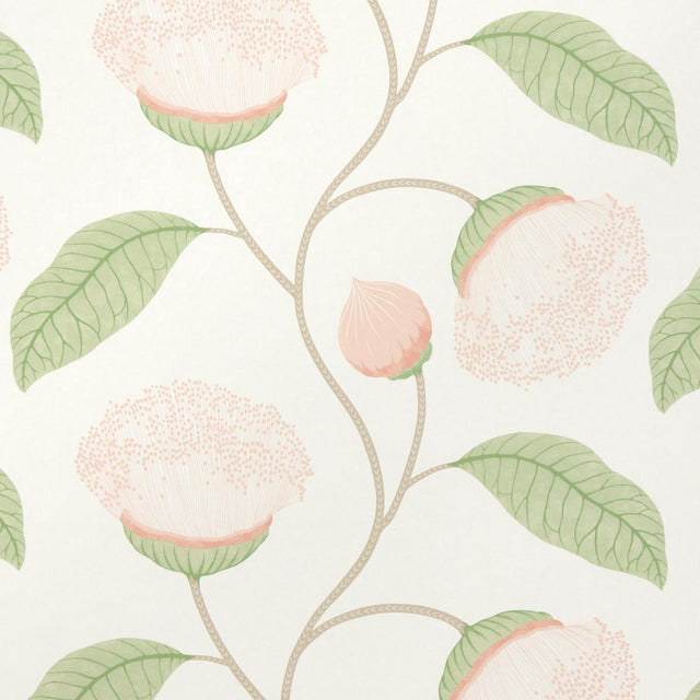 Schumacher Celinda Blush Wallpaper