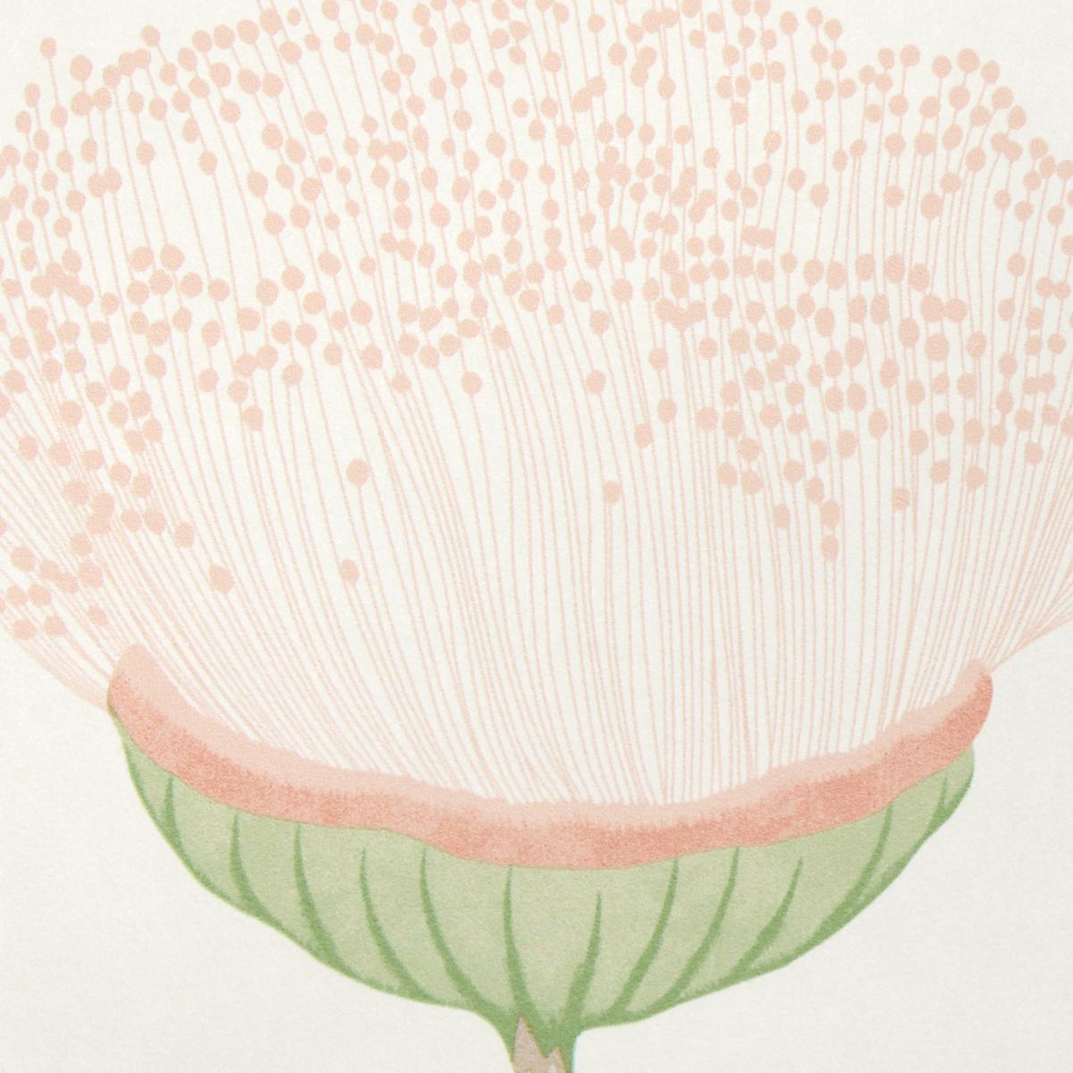 Schumacher Celinda Blush Wallpaper