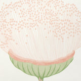 Schumacher Celinda Blush Wallpaper