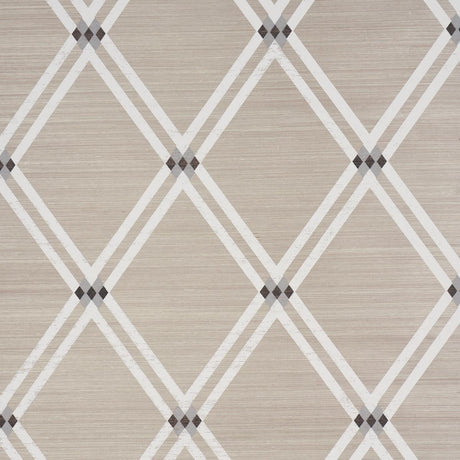 Schumacher Asolo Sisal Silver Wallpaper
