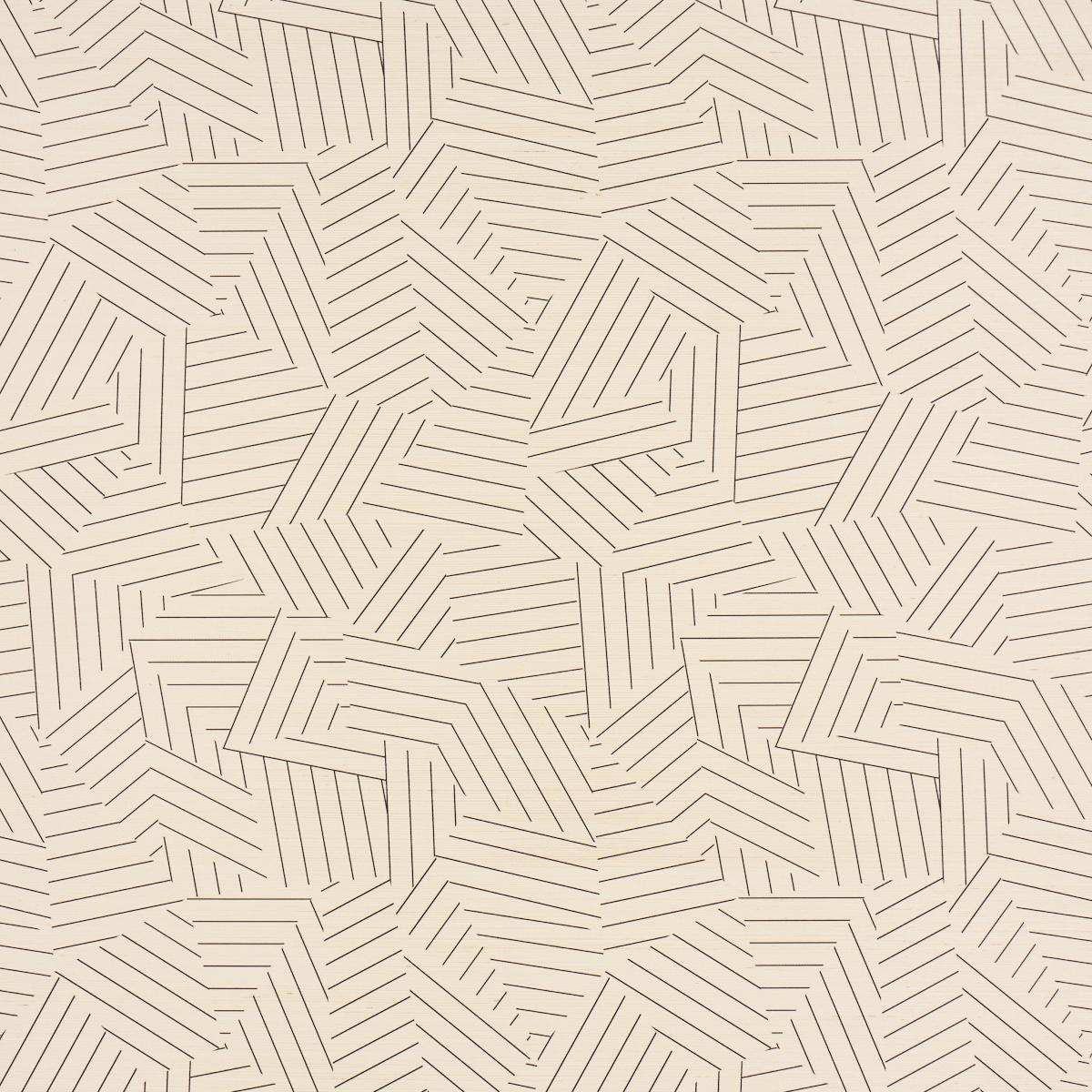 Schumacher Deconstructed Stripe Sisal Black Wallpaper