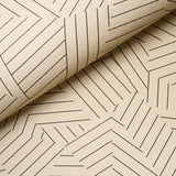 Schumacher Deconstructed Stripe Sisal Black Wallpaper