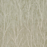 Schumacher Komorebi Illuminated Forest Wallpaper