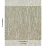 Schumacher Komorebi Illuminated Forest Wallpaper