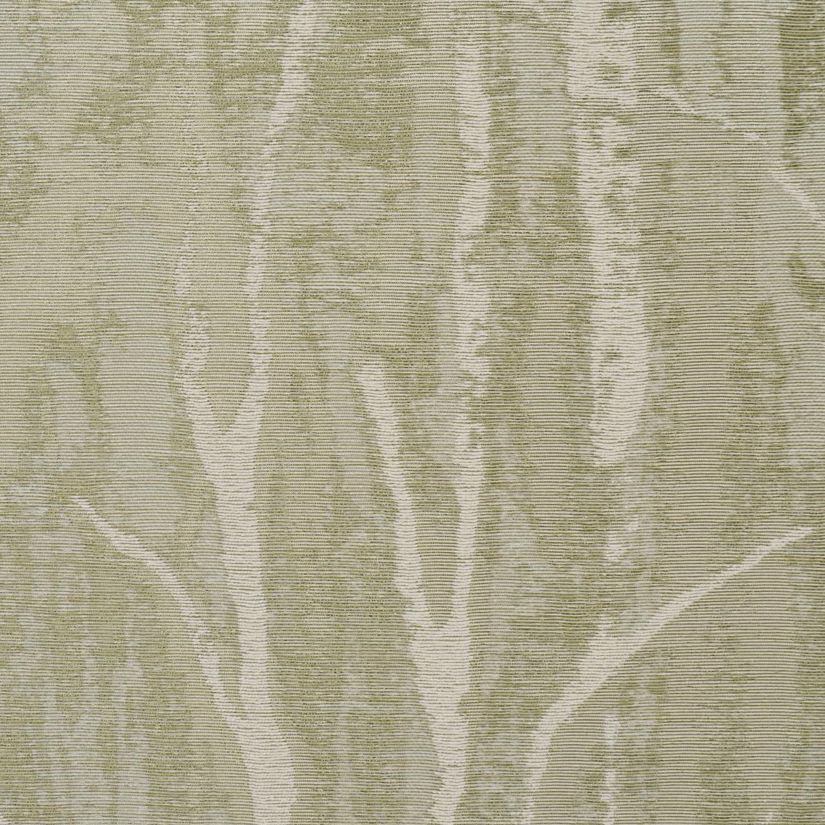 Schumacher Komorebi Illuminated Forest Wallpaper