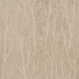 Schumacher Komorebi Golden Hour Wallpaper