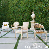 Schumacher Shivalik Hills Tiger Gold Fabric