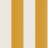 JF Fabrics CIRQUE Orange/Cream (26) Fabric