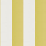 JF Fabrics CIRQUE Chartreuse/White (72) Fabric