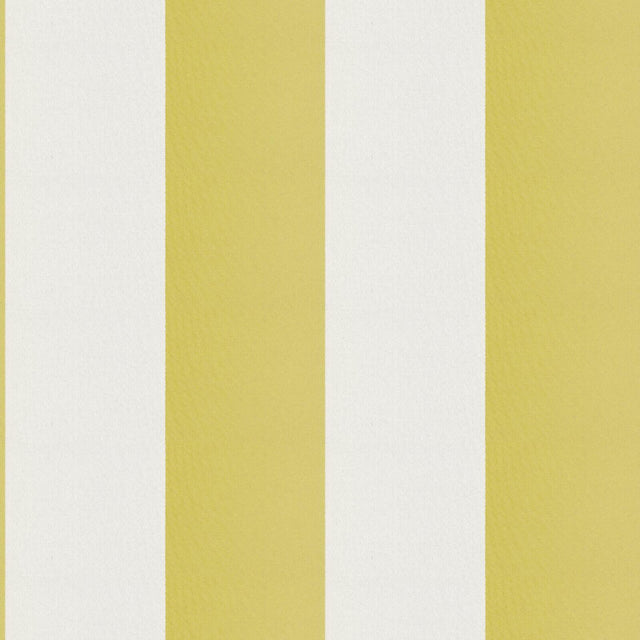 JF Fabrics CIRQUE Chartreuse/White (72) Fabric