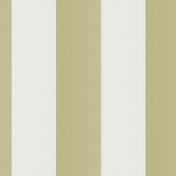 JF Fabrics CIRQUE Green/White (75) Fabric