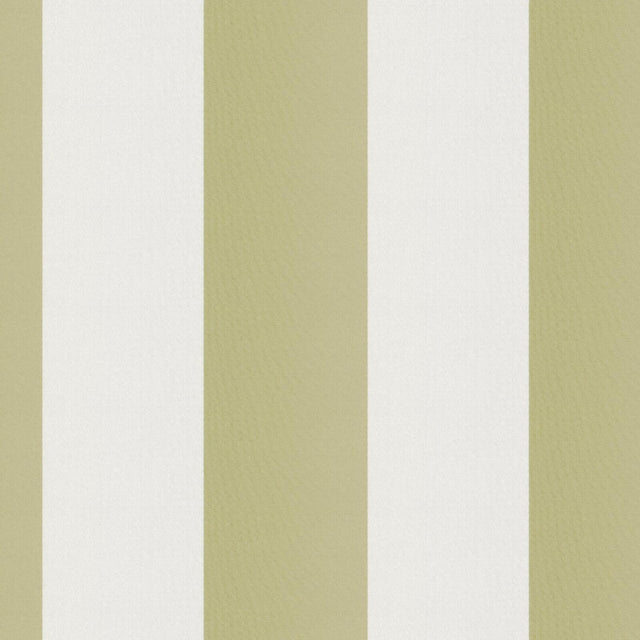 JF Fabrics CIRQUE Green/White (75) Fabric