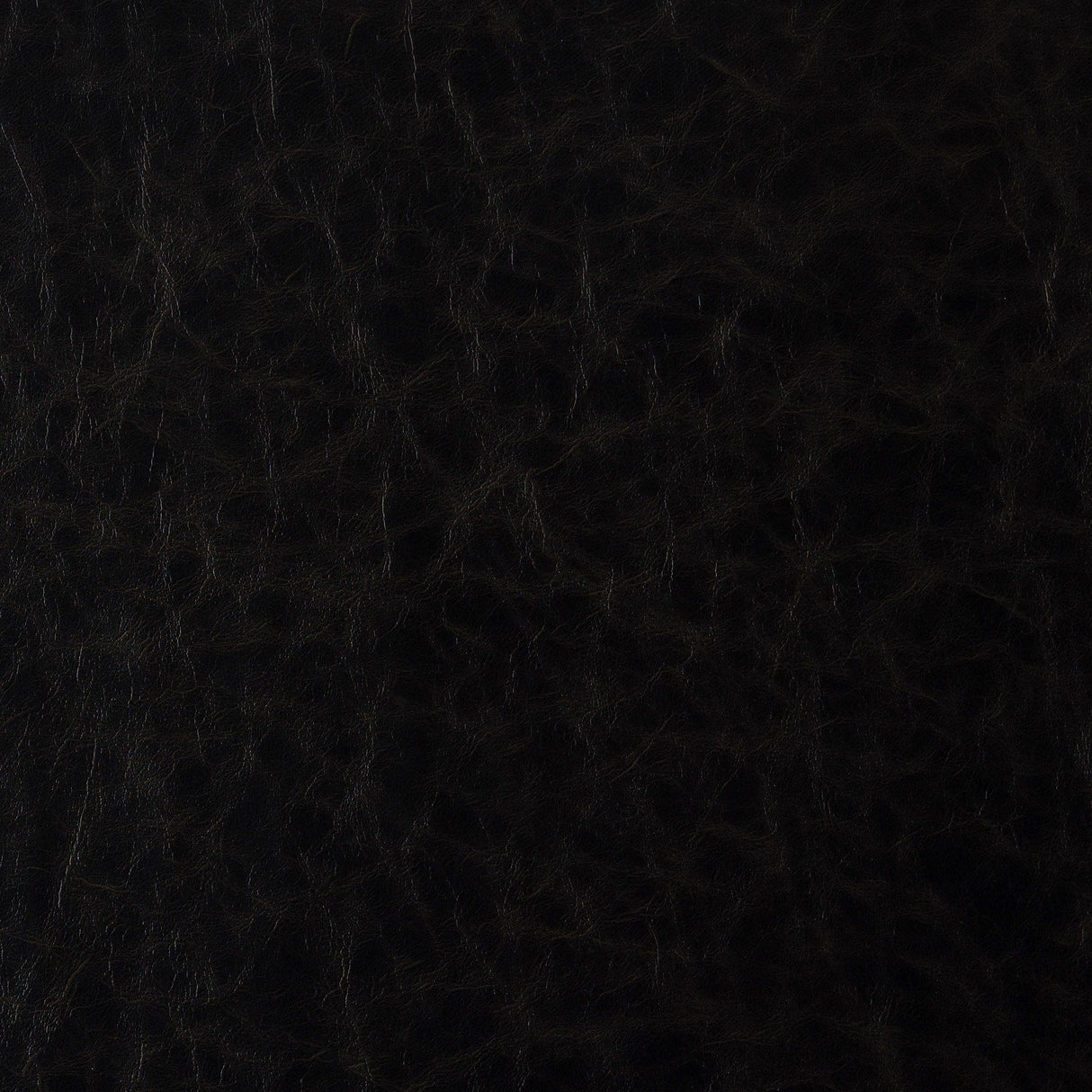 JF Fabrics HOWDY Black (98) Upholstery Fabric