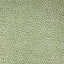 JF Fabrics MOXIE Green/White (74) Upholstery Fabric
