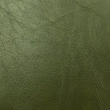 JF Fabrics RODEO Green (78) Upholstery Fabric