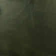 JF Fabrics RODEO Green (79) Upholstery Fabric