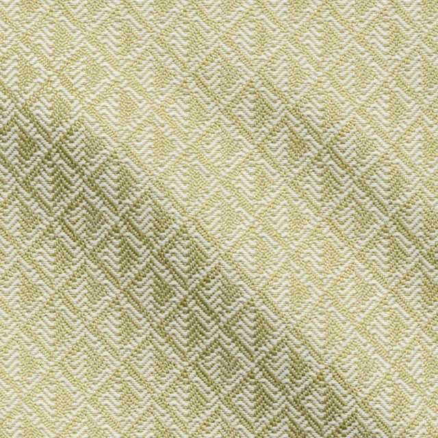 JF Fabrics SCUBA Green/White (71) Upholstery Fabric