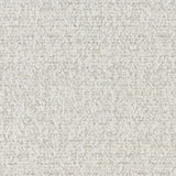 Kravet CORA GESSO Upholstery Fabric