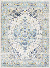 Surya Chester CHE-2334 7'10" x 10'3" Rug