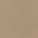 Thibaut MONTMARTRE  Wallpaper
