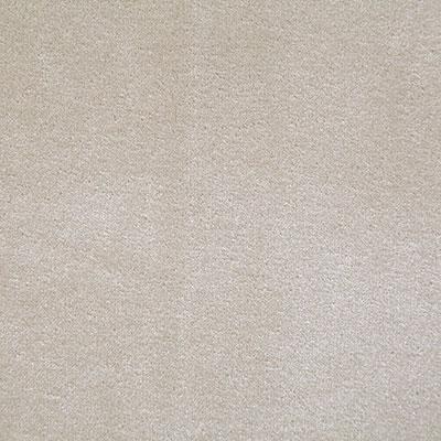 Pindler TITUS SHELL Fabric