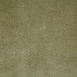 Pindler TITUS MOSS Fabric