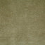 Pindler TITUS MOSS Fabric
