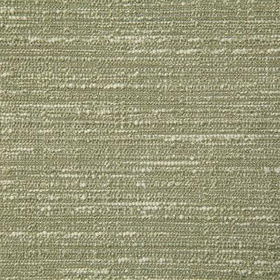 Pindler WELLS FERN Fabric