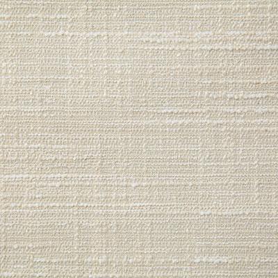 Pindler WELLS SHELL Fabric