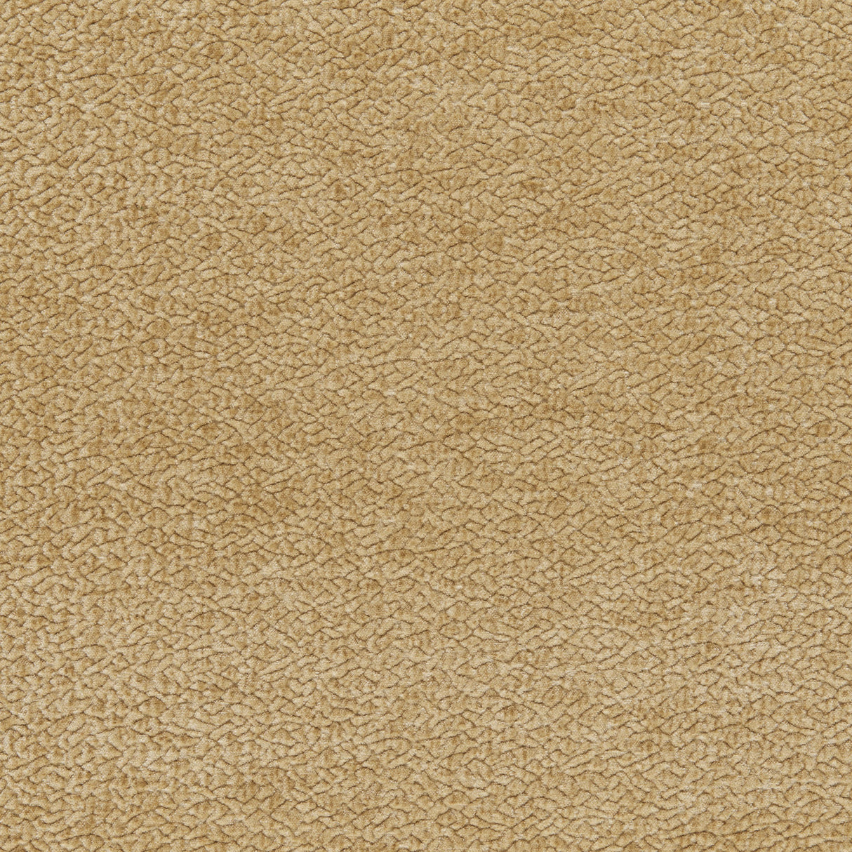 Kravet BARTON CHENILLE NUT Upholstery Fabric