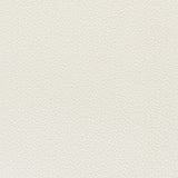 Kravet BARTON CHENILLE SALT Upholstery Fabric