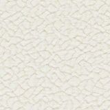 Kravet BARTON CHENILLE SALT Upholstery Fabric