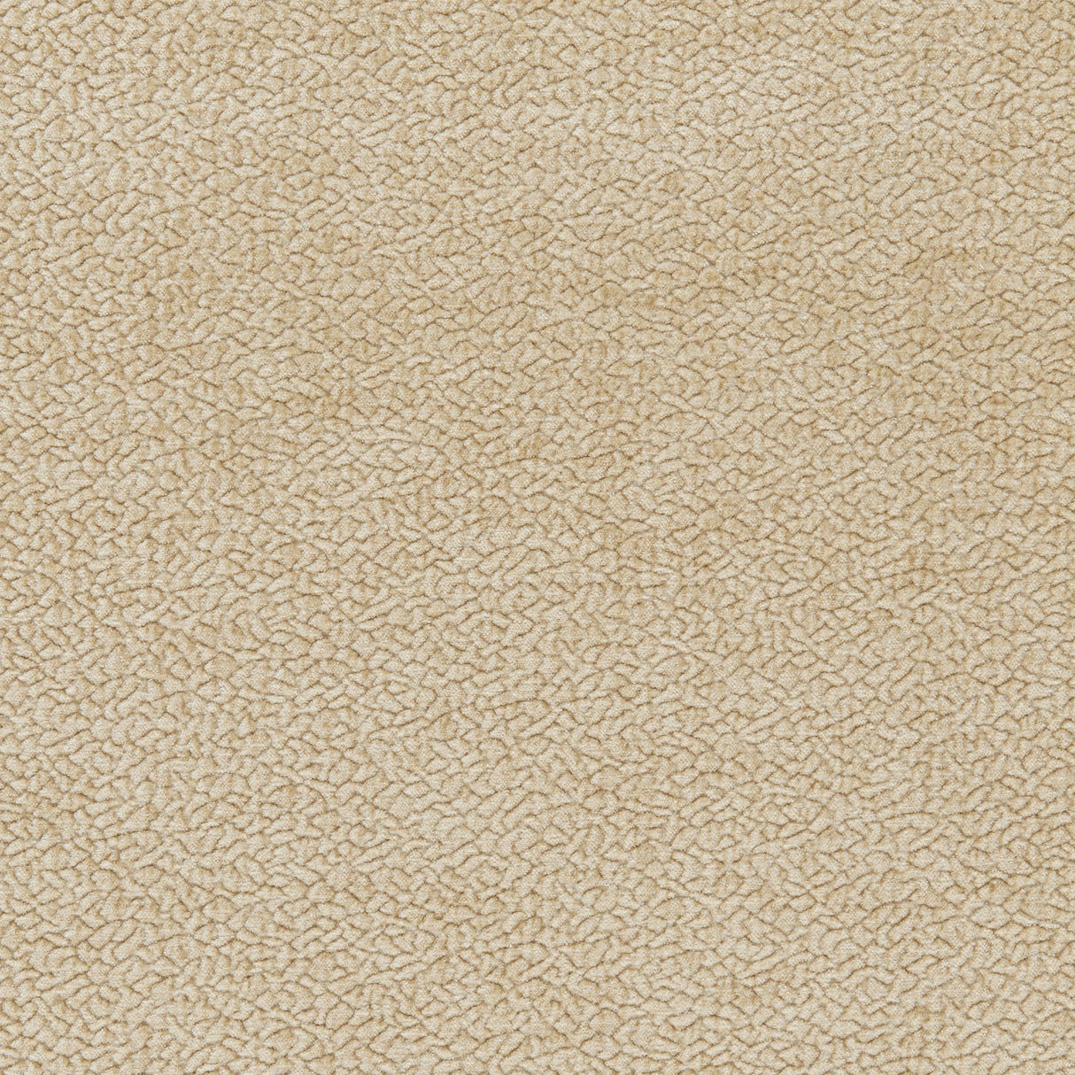 Kravet BARTON CHENILLE ALMOND Upholstery Fabric