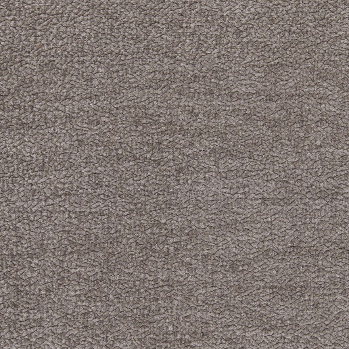 Kravet BARTON CHENILLE PLATINUM Upholstery Fabric
