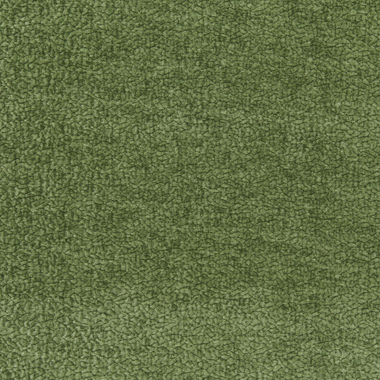 Kravet BARTON CHENILLE SHAMROCK Upholstery Fabric