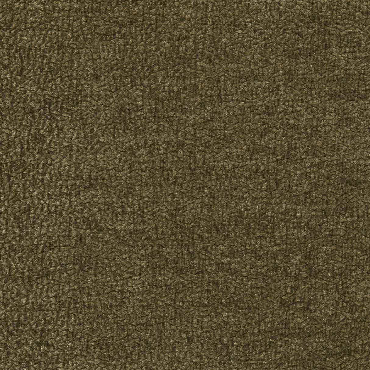 Kravet BARTON CHENILLE PINE Upholstery Fabric