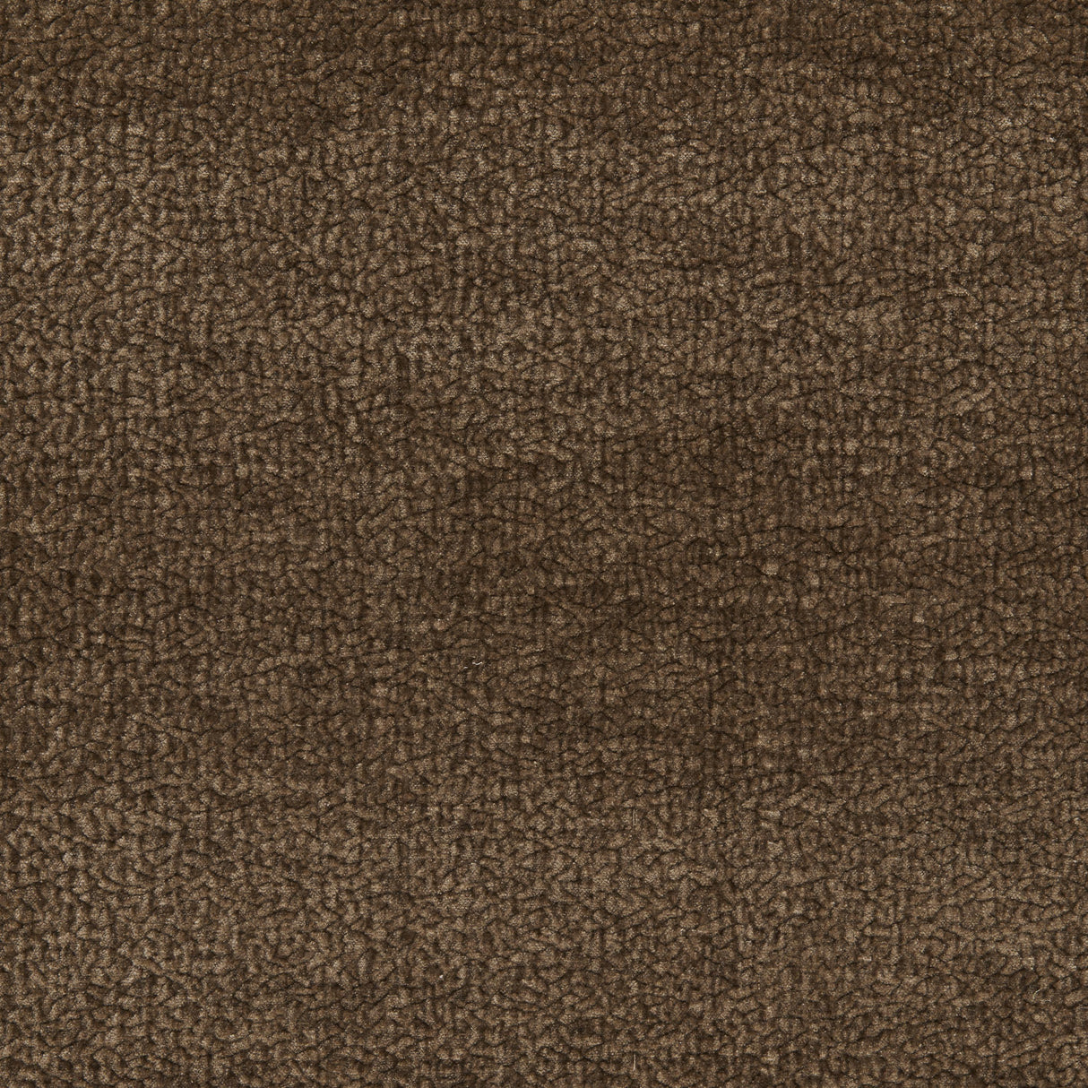 Kravet BARTON CHENILLE MOCHA Upholstery Fabric