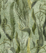 MindTheGap AQUATIC PLANTS THE WETLANDS A story of Danube's Delta Wallpaper
