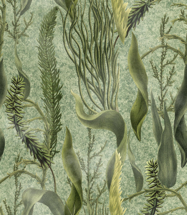 MindTheGap AQUATIC PLANTS THE WETLANDS A story of Danube's Delta Wallpaper