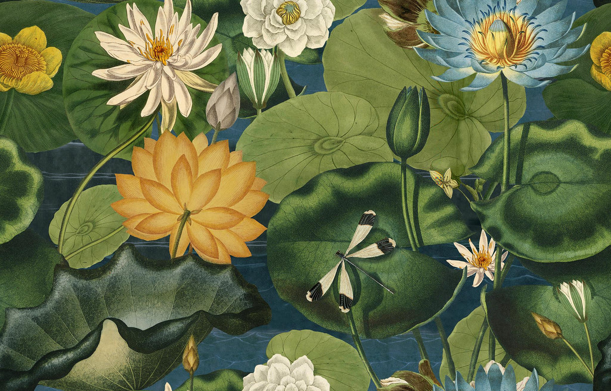 MindTheGap LOTUS BLOSSOM THE WETLANDS A story of Danube's Delta Wallpaper