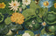 MindTheGap LOTUS BLOSSOM THE WETLANDS A story of Danube's Delta Wallpaper