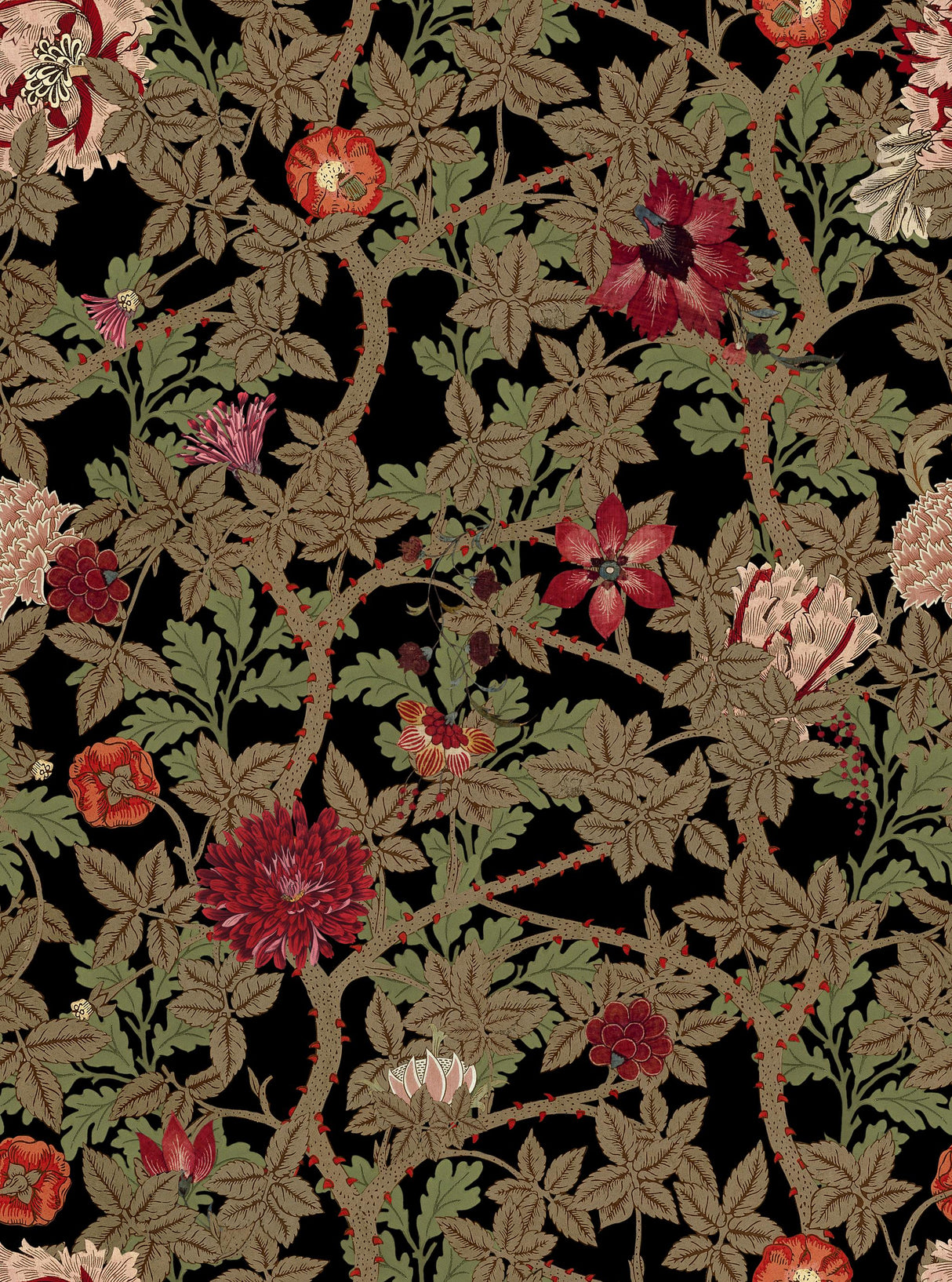 MindTheGap THE FLOWERING Dark THE WETLANDS A story of Danube's Delta Wallpaper