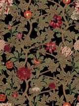 MindTheGap THE FLOWERING Dark THE WETLANDS A story of Danube's Delta Wallpaper
