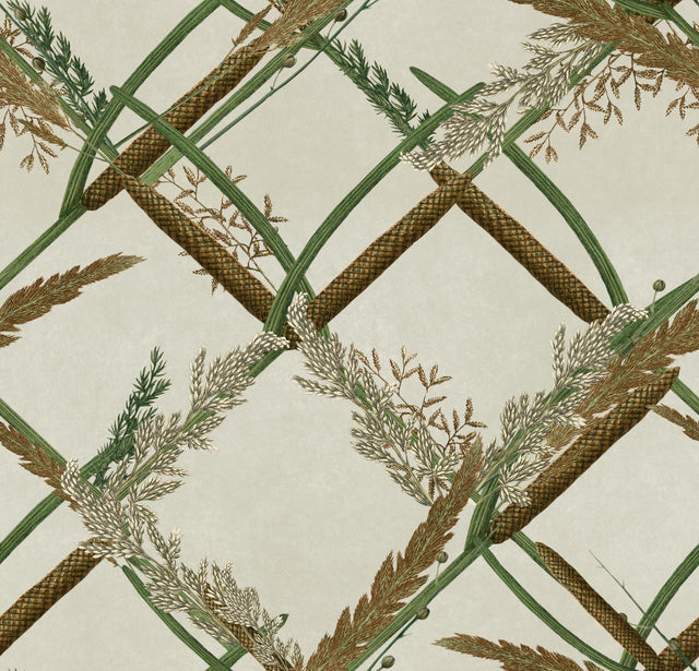 MindTheGap ORNAMENTAL REED THE WETLANDS A story of Danube's Delta Wallpaper