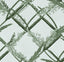 MindTheGap ORNAMENTAL REED Greenlake THE WETLANDS A story of Danube's Delta Wallpaper